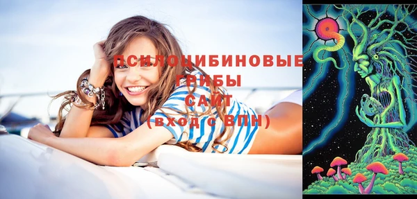 apvp Алзамай