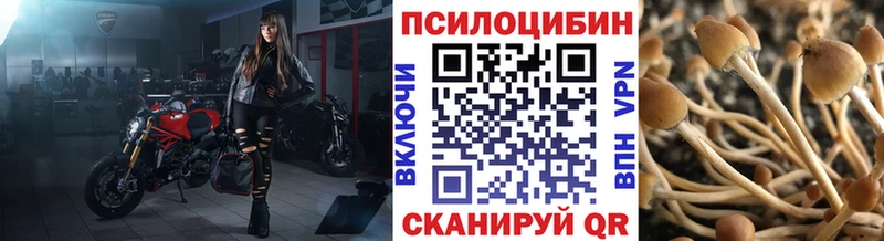 Галлюциногенные грибы прущие грибы  как найти закладки  Королёв 